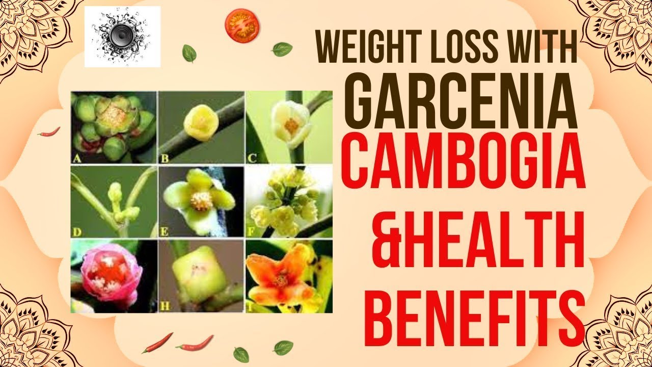 Garcinia Cambogia For Weight Loss & Health Benefits | My Weight Loss