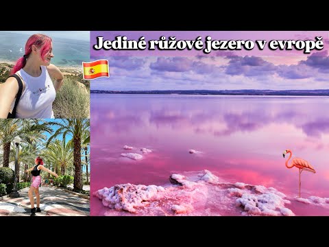 Video: Jak Získat Přátele LGBTQ Na Cestách