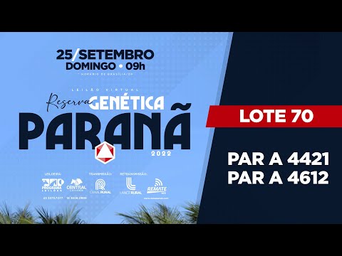 LOTE 70 PAR A4612 PAR A4421