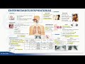 Pediatría - Infecciones Respiratorias