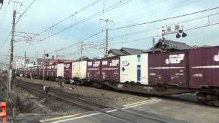 1092レ EF210 139 代走 コキ26両 がんばろう日本JOTコンテナ積載 西明石~大久保間 2014年1月28日