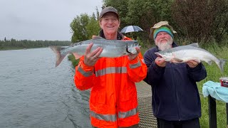 LIVE on the Kenai River: When Will the Salmon Come In?