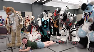 Anthrocon 2023  Fursuiting 101 with Gale Frostbane