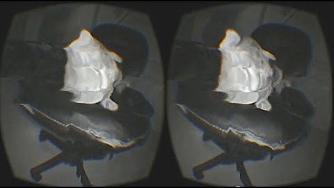 Warping my Cat with Oculus and Leap