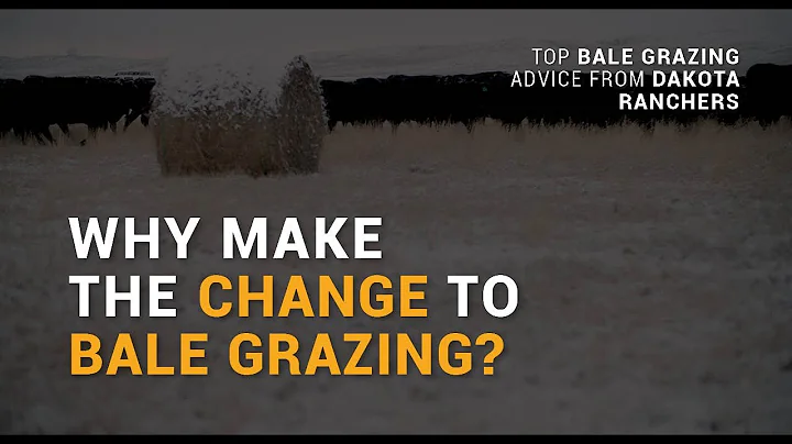 18 Why Make the Change to Bale Grazing? (Gaugler)