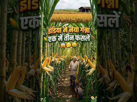 भारत की सबसे स्मार्ट खेती 😱🌾#DesiJugaad #SmartFarming #IndianFarmer #ViralShorts #Trending