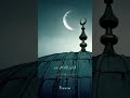 من سورة يس السيد متولي حالات واتس حالات اسلامية قرآن قران كريم Quran 