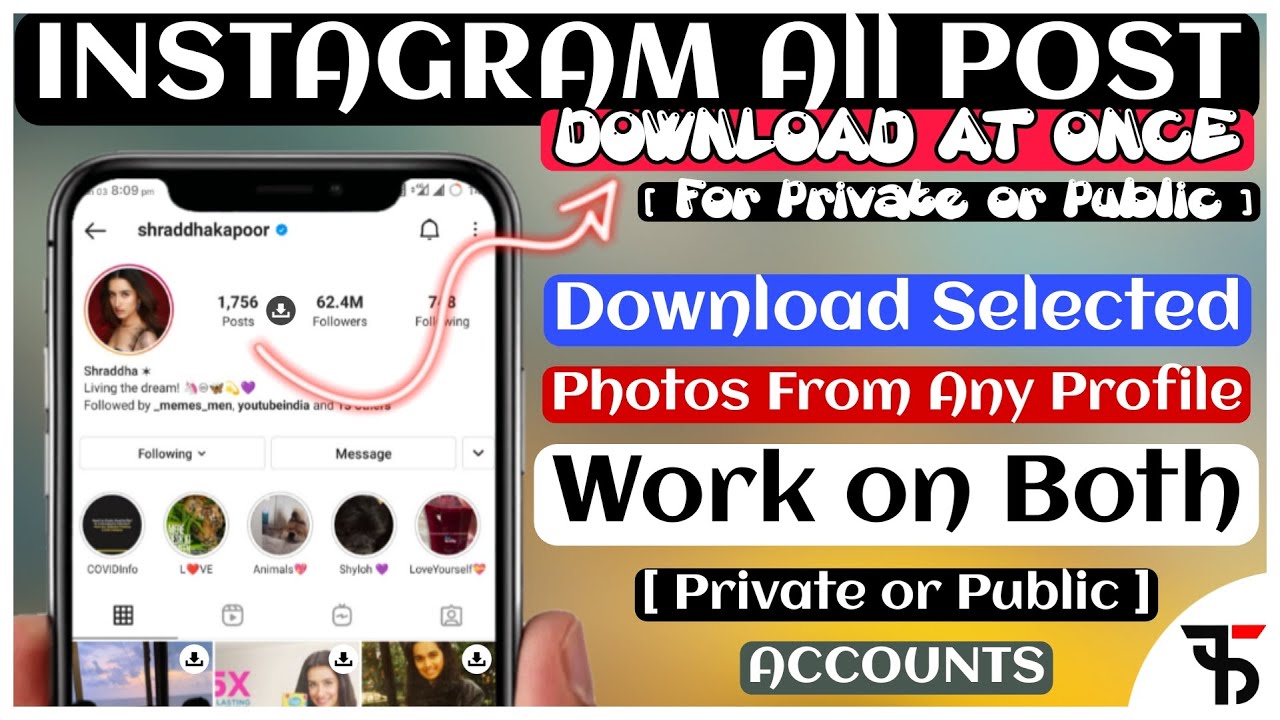 How to download Instagram all posts at once on [Public or Private ac
