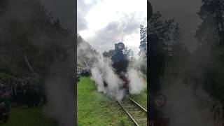 Что происходит когда паровоз сдаёт назад 😁😮 #гулбене #паровоз #поезд #латвия #gulbene #steamtrain