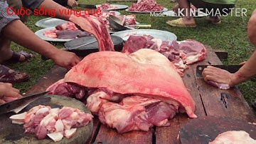 Lễ cúng thần rừng đồng bào Hmoong Hà Giang l Cuộc sống vùng quê l Dương tiến