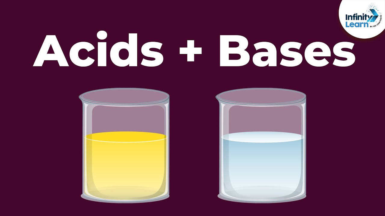 Acids And Bases Reaction With Each Other Don T Memorise Youtube