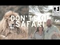 African safaris  what not to do on a safari