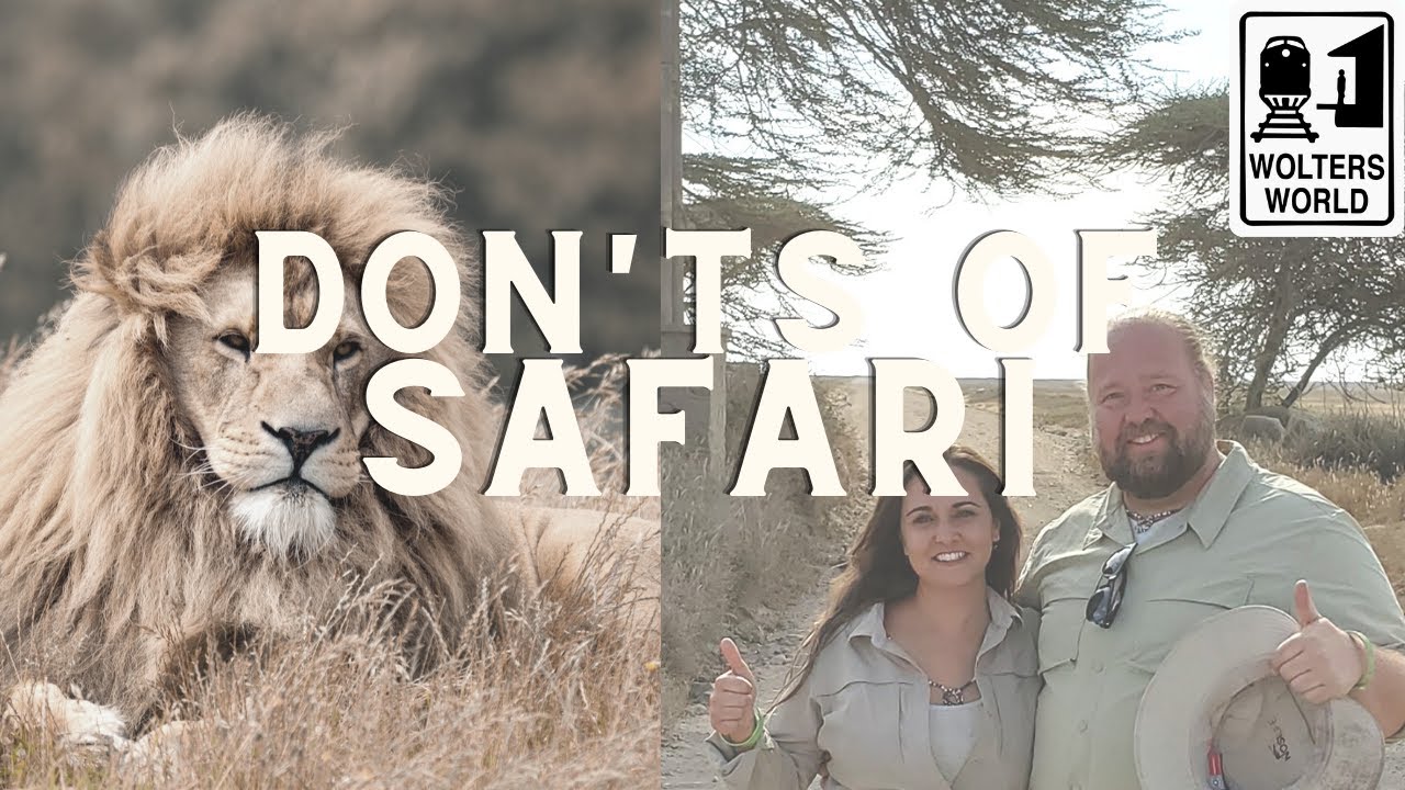 ⁣African Safaris - What NOT to Do on a Safari