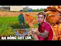 Cương Xấu | Ra Đồng Gặt Lúa Cùng Bố Và Món Gà Nướng