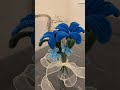 Pipe cleaner flowers 💐💞