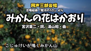 私の好きな自由曲 みかんの花はかおり 静岡のみかん畑が目の前に広がるような曲 Nコンブログ Nhk全国学校音楽コンクール合唱ファンブログ