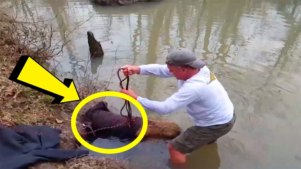 Man Rent Om Vreemd Wezen In Meer Te Redden — Wat Het Echt Is Verbaast Iedereen