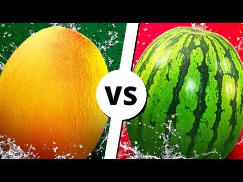 АРБУЗ vs ДЫНЯ