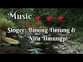 OH NE KACHINGHON NAI ABANG LYRICS | BINONG TIMUNG AND NITU TIMUNGPI | 2020  | Karbi Romantic song Mp3 Song