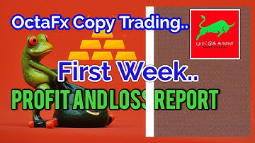 OctaFx Copy Trading / First Week Profit & Loss Report / Part..1 / Murattukaalai