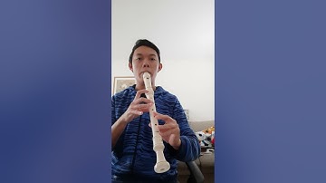 Recorder Sound Comparison: Soprano vs Alto vs Tenor 2