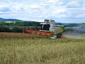 AGROPEX Sklabiná - Žatva repky 2020 // Rape harvest 2020 ( 2× Claas, 2× New holland &amp; Škoda 706