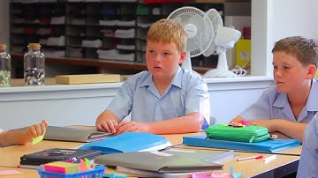 The Arrowsmith program at TSS