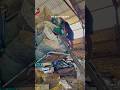 be patient but keep trying, don't just give up #shorts #shortvideo #short #viral #trending