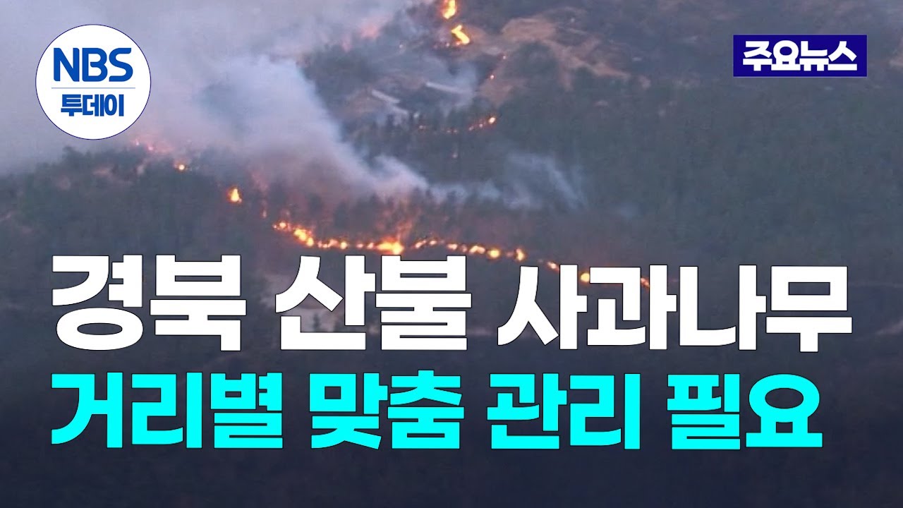 “경북 산불로 피해 본 사과나무 회복, 거리별 맞춤 관리 필요”