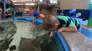 St. Louis Proud: St. Louis Aquarium