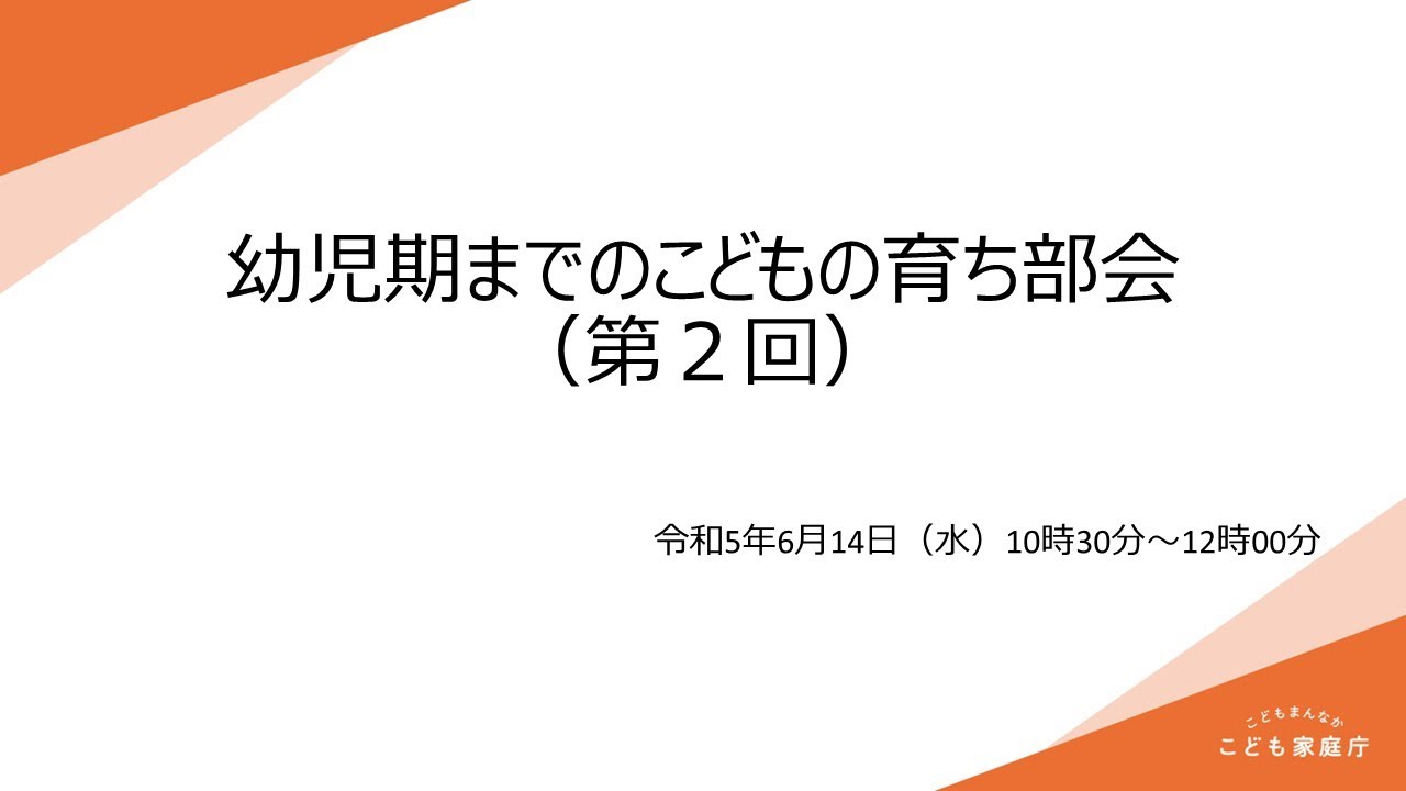 幼児期までのこどもの育ち部会（第２回）