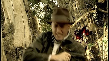 After Effects Lesson 24: Blood Splatter Results (Video Copilot Tutorials)