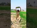 Allah ki madad hoi#trending#india#viralvideo#islmaicvidoes#islamicshorts#islamicprayer#ytshorts