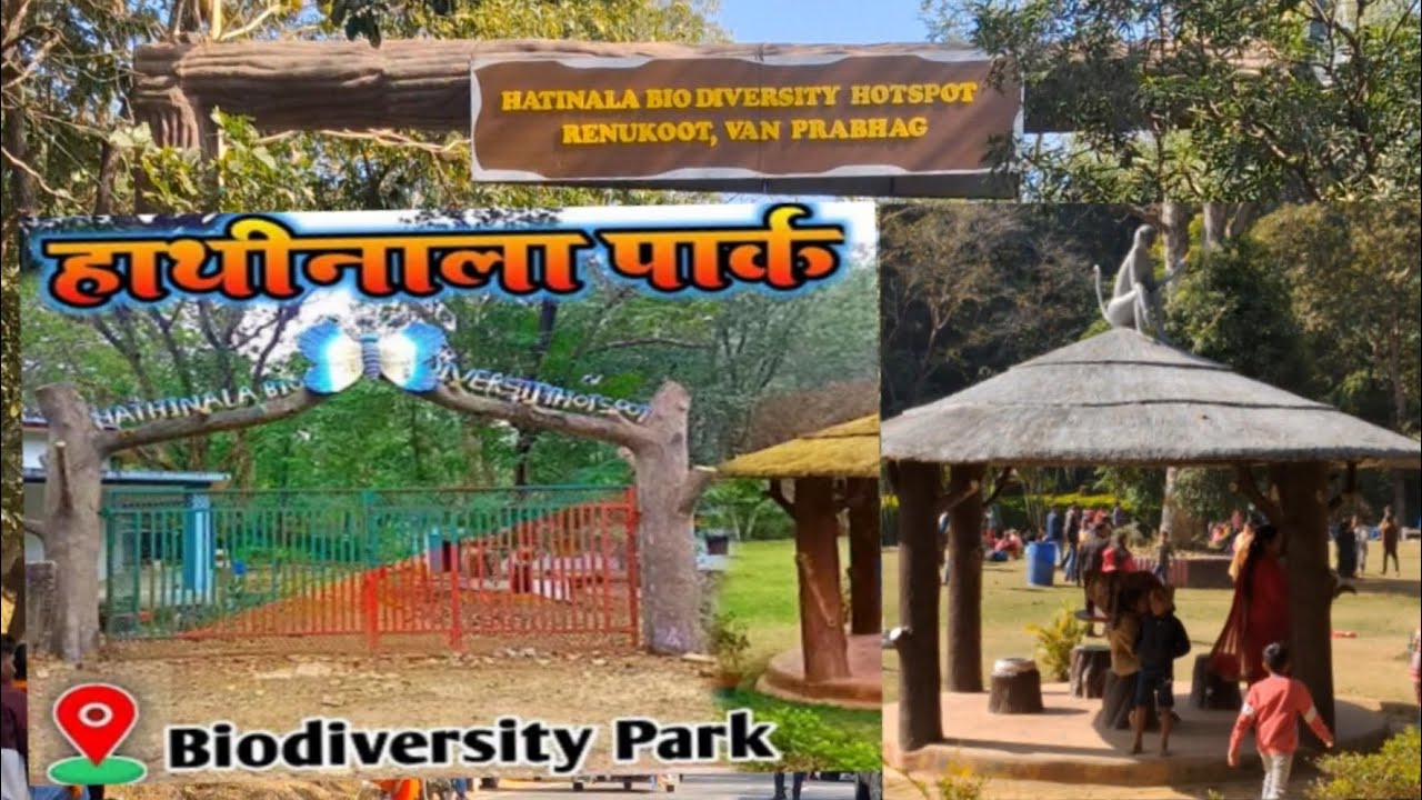 Hathinala Park Sonebhadra | Hathinala Biodiversity Park | Eco Diversity Park~हाथीनाला पार्क Renukoot