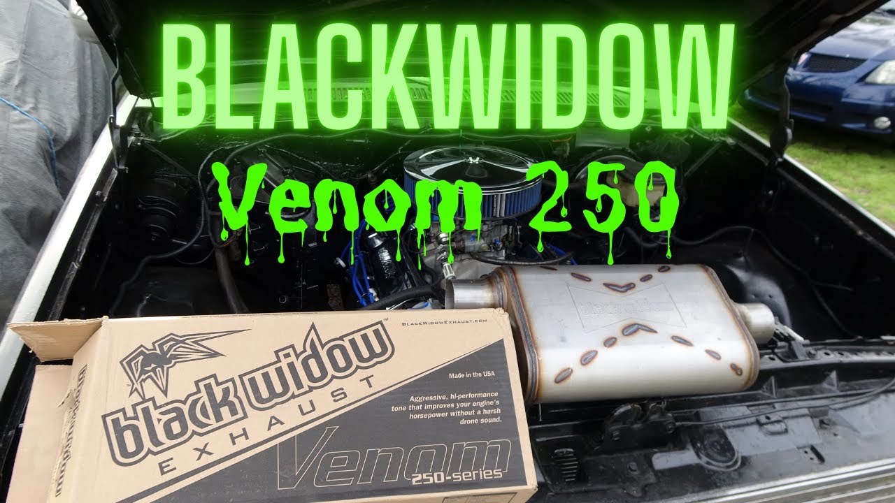 Black Widow Venom 250 Stock Small Block Chevy 350 C10 YouTube