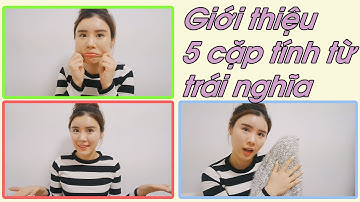 Giới thiệu  5 cặp tính từ  trái nghĩa