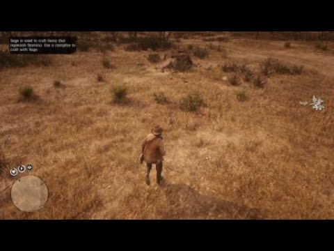 Red Dead Redemption 2 Rdr2 Sierra Nevada Bighorn Sheep Location Zoologist 114 Skin Deep Youtube