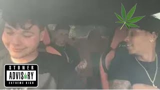 Lacy and Silky Hotbox Citruses Car and Get High