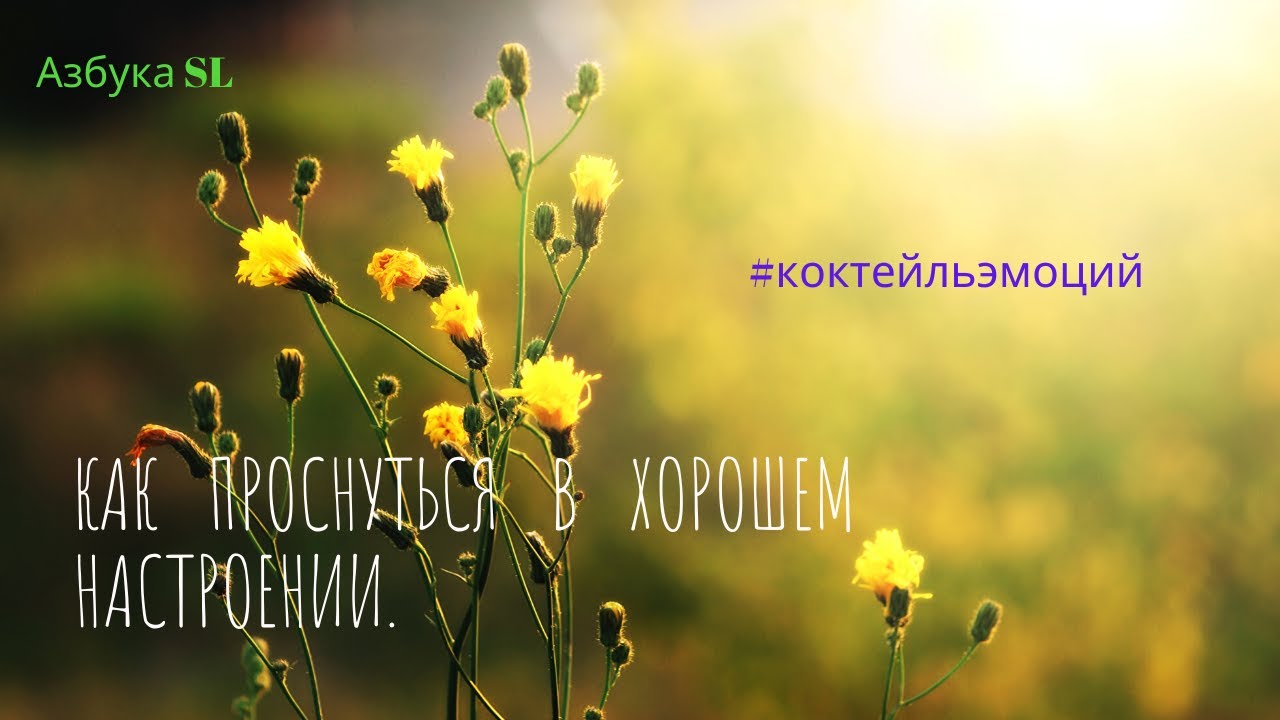 Азбука SL. Как проснуться в хорошем настроении.