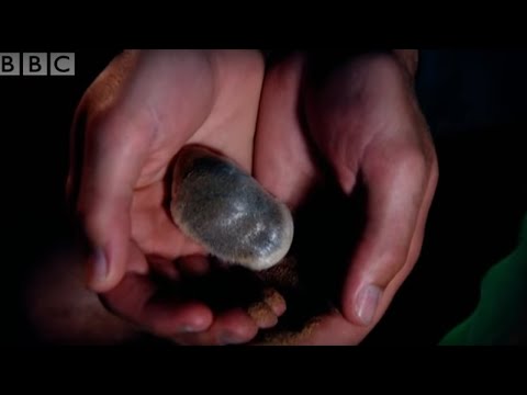 Video: Moles Sjokoladesaus