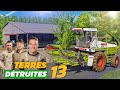 Achat de la ferme des animaux  terres dtruites 13