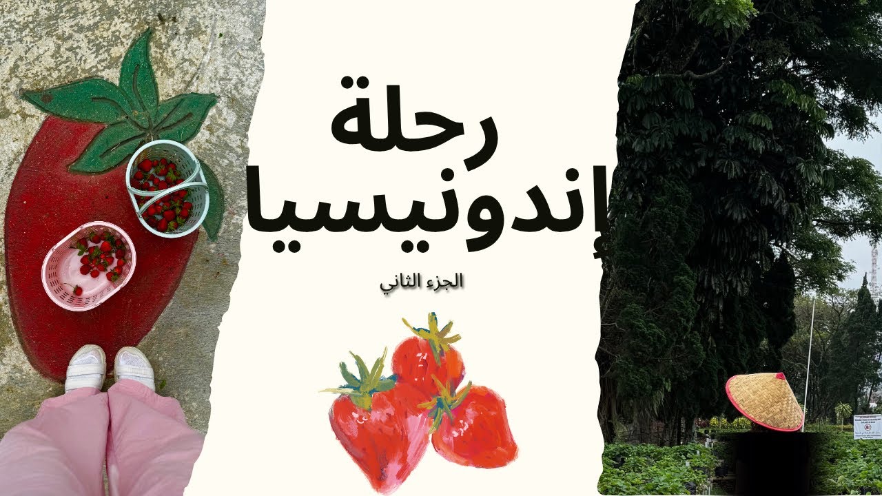 رحلتنا إلى إندونيسيا بونشاك 🇲🇨🌴☀️ #Vlog2 Part2