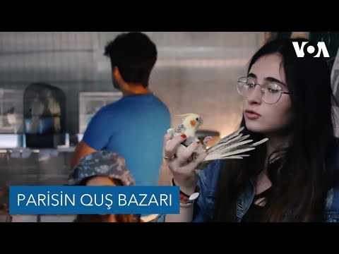 Video: Parisdə Ərzaq Bazarları (Qonşuluq)