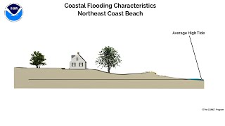 Northeast coast sideview