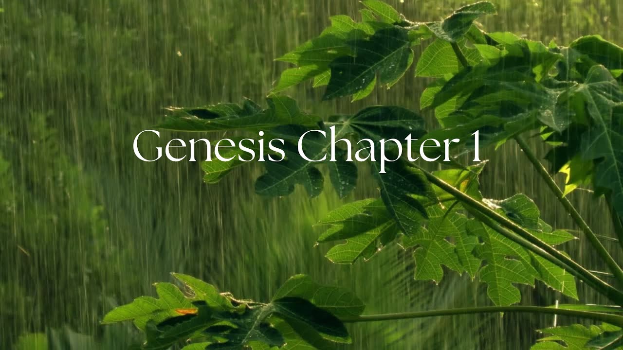 Read the Bible with me! Genesis Chapter 1, Calm Bible Reading.