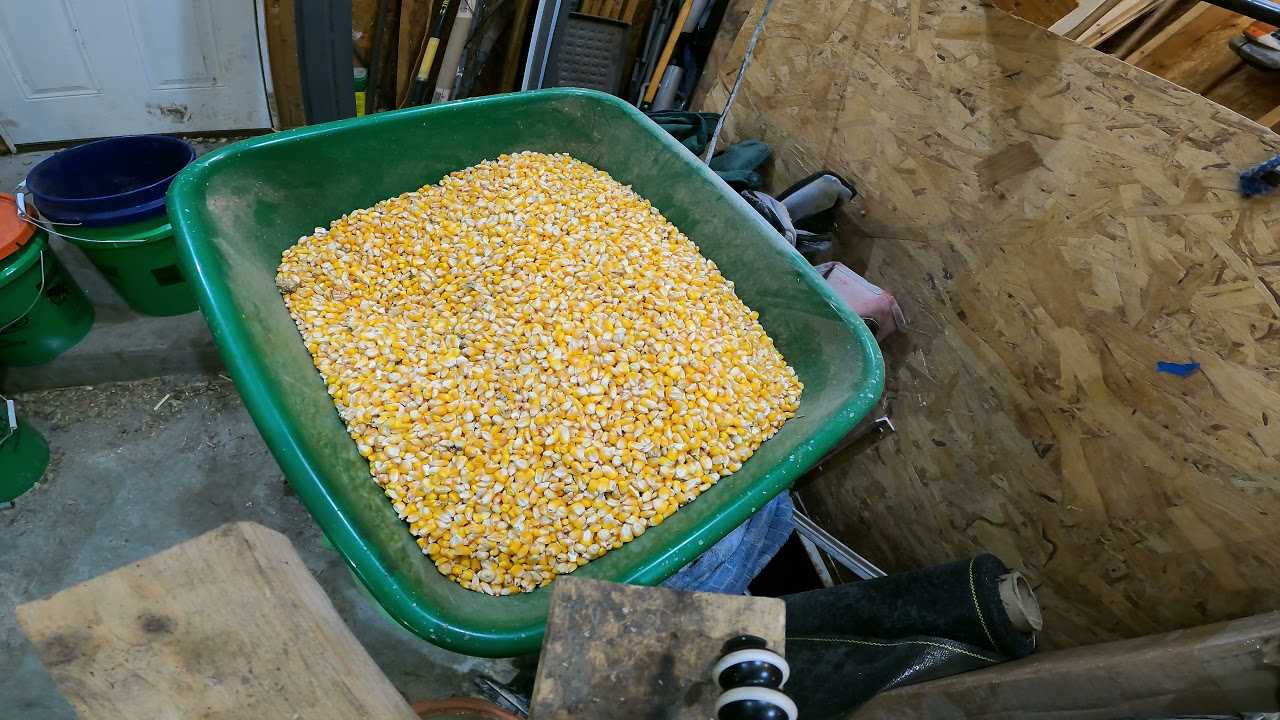 Grinding custom blend chicken feed with Bravo Hammermill Grinder