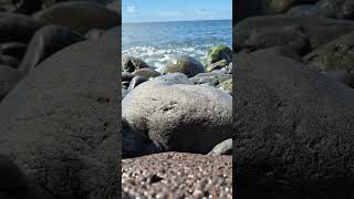 Ocean Sound Illusion Experiment#DarkSignal #Perception #SoundIllusion #Experiment #Ocean #Madeira