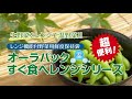 生鮮野菜を電子レンジで簡単調理『オーラパックすぐ食べレンジ』枝豆編