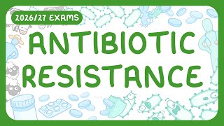 Gcse Biology - Antibiotic Resistance 202627 Exams