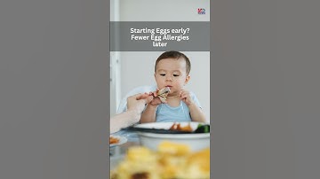 Eggs: The Nutrient-Packed Superfood You Need